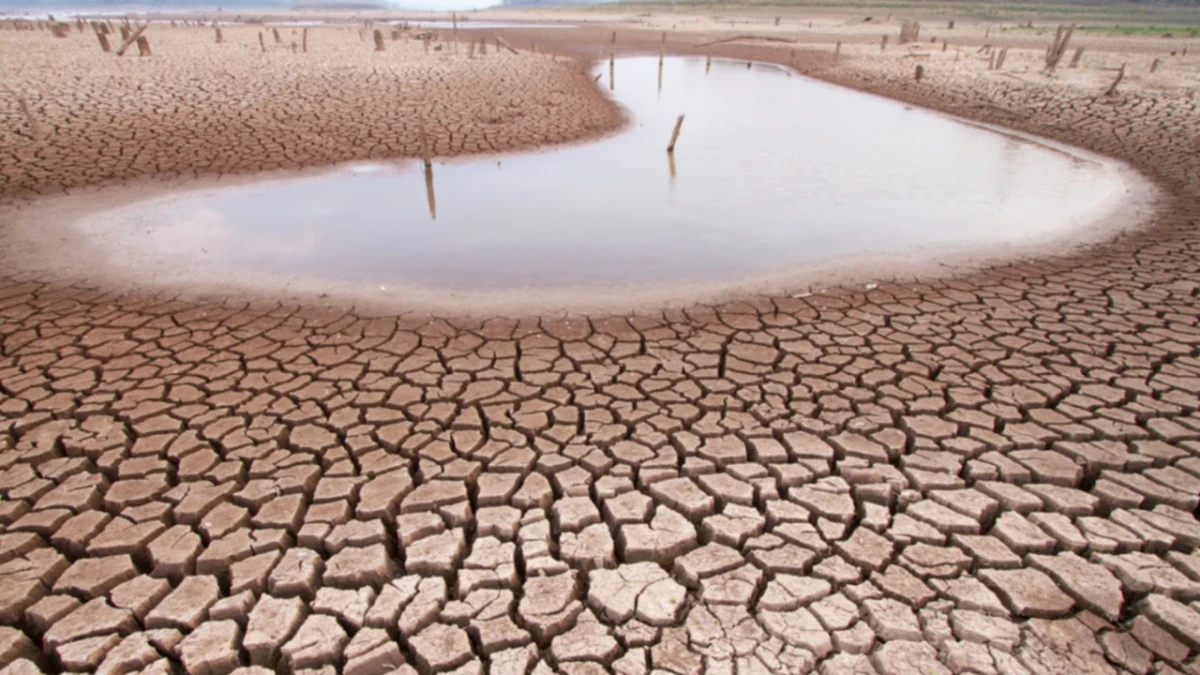 Dünya Kuraklıkla Mücadele Gününde Toprak Alarm Veriyor