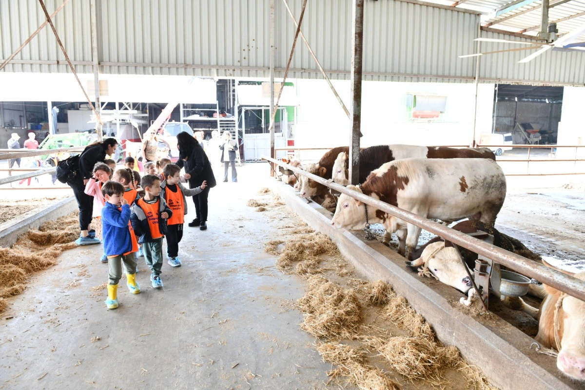 Minikler Çiftlikte Doğayla ve Hayvanlarla Buluştu 